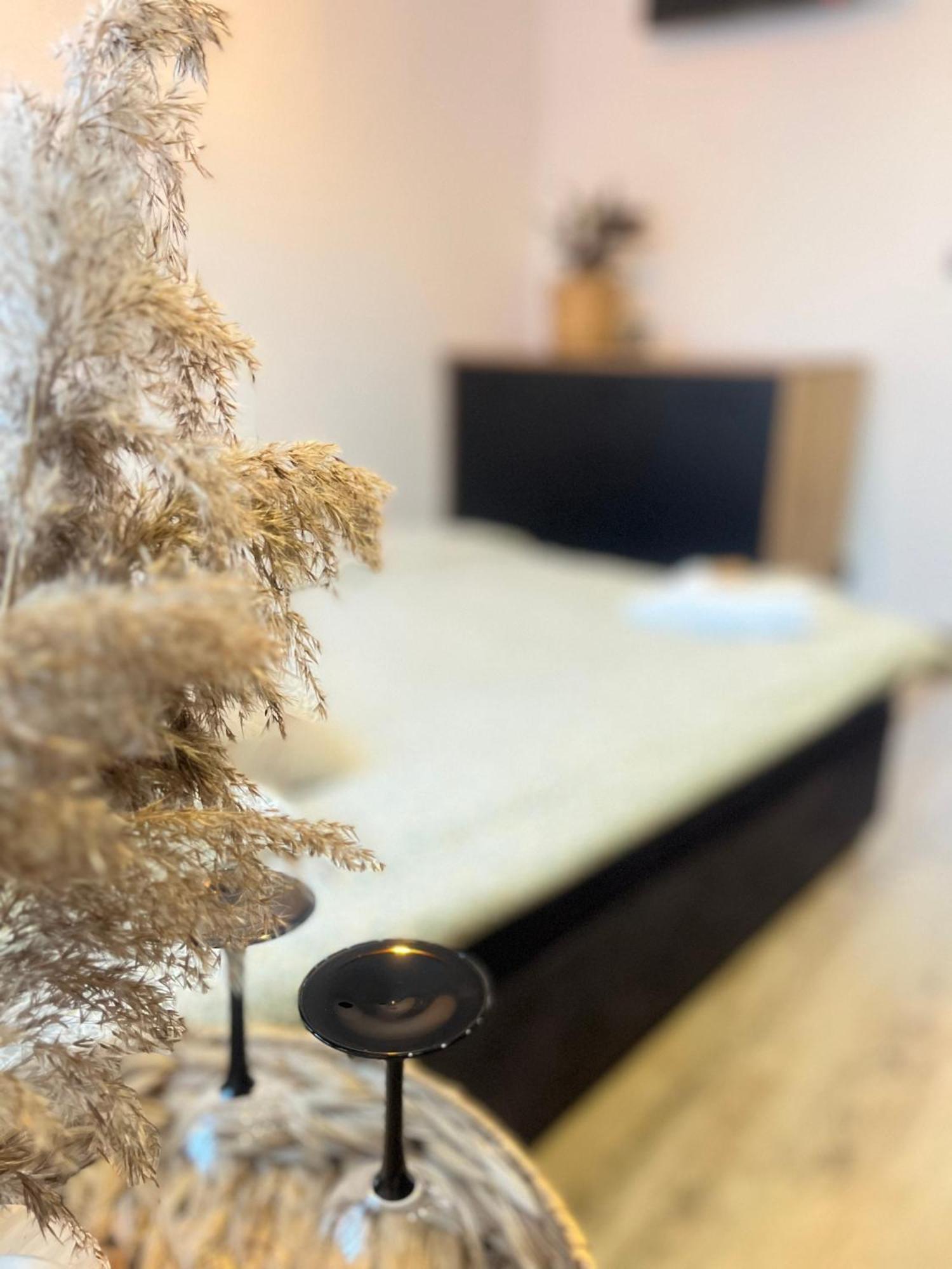 Nowoczesny Maly Apartament Nr 3 ออร์ชิซ ภายนอก รูปภาพ